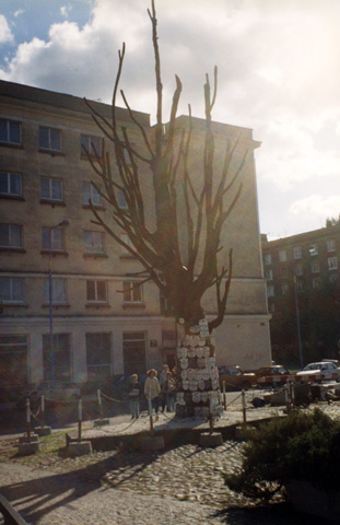 memorial tree